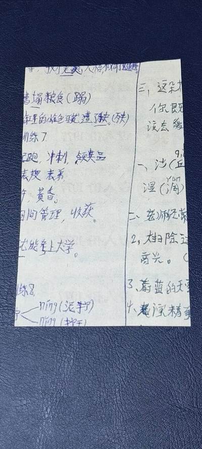 票证拍场    都是整版或者联票 河北省棉花票    长城以南   1977年发行   壹人份   5联张