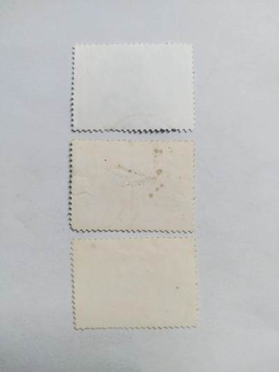 邮票专场 1981年 辛亥革命七十周年纪念邮票一套。