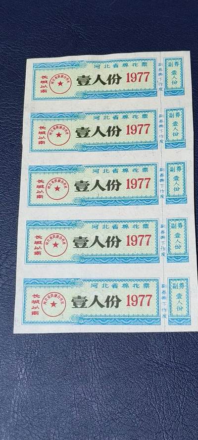 票证拍场    都是整版或者联票 河北省棉花票    长城以南   1977年发行   壹人份   5联张