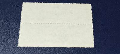 票证拍场    都是整版或者联票 🔥🔥西藏🔥🔥  西藏自治区布票 壹市尺 1984年，别看年代不久，但是非常少见！