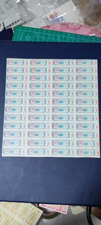 票证拍场    都是整版或者联票 🔥市级🔥临时肉票🔥饮食🔥成都市临时肉票，1978年发行，48联！面值半斤