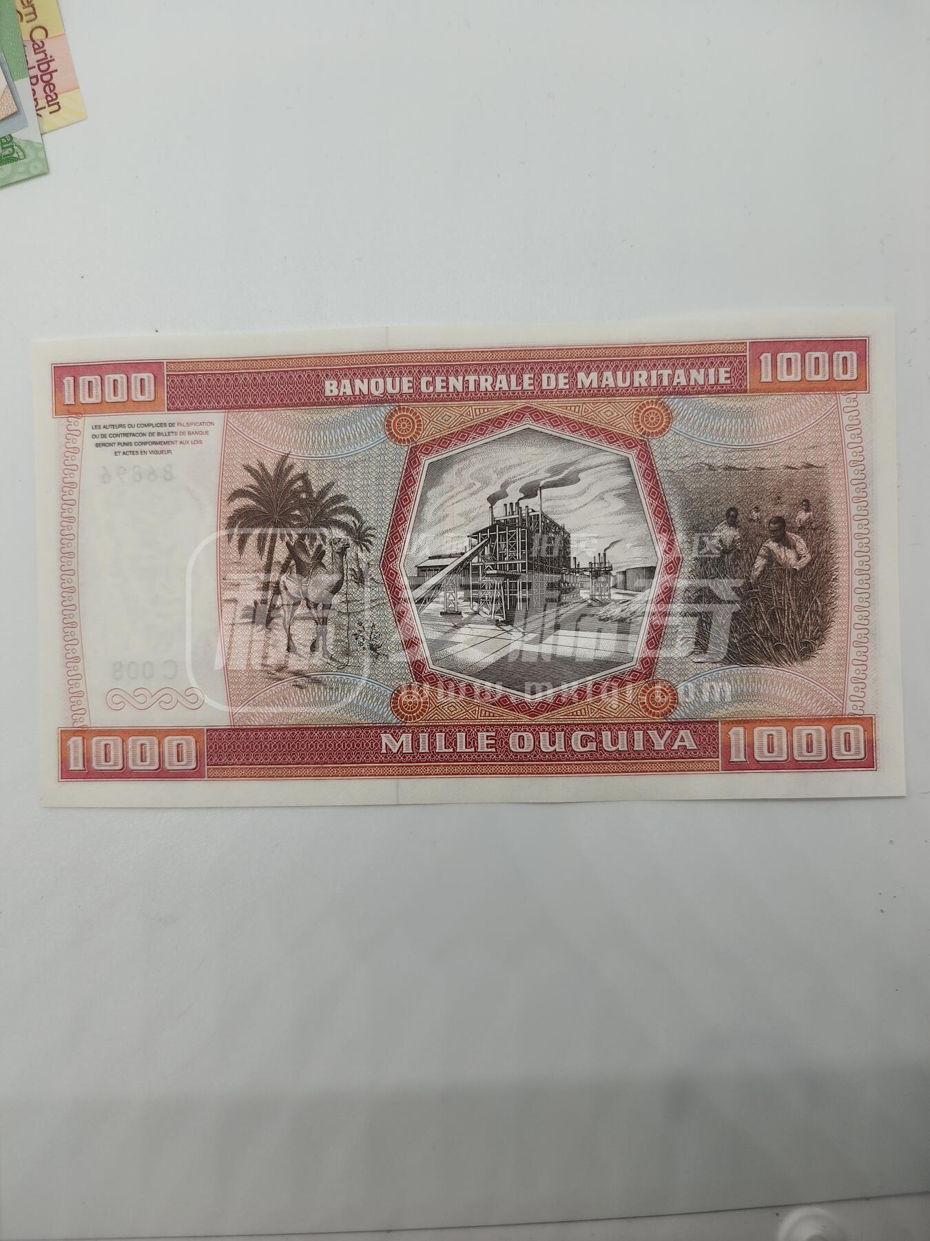 全新毛里塔尼亚1981年未发行1000乌吉亚靓品纸币
