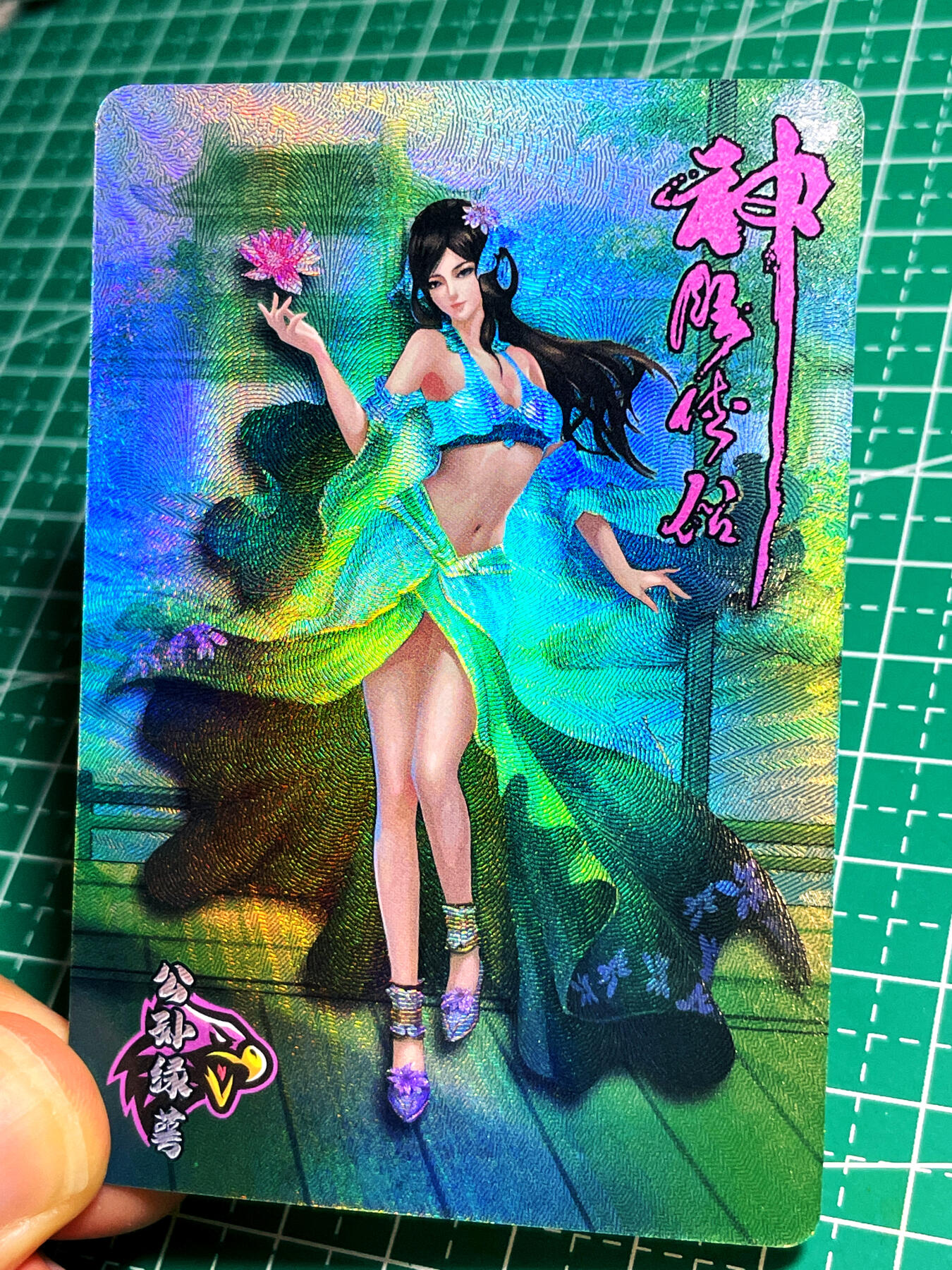 显眼宝17期 大家玩卡快乐 神雕侠侣 公孙绿萼 折光彩闪 小卡尺寸