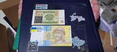 各种纸币、硬币拍场 外币两张，，护币袋有国家简介，扫二维码可显示更详细的国家介绍