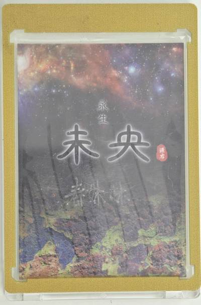 白泽拍卖卡牌手绘专场第18期（端午临中夏，时清日复长） 2024 未央手绘卡 翠意山河 春妹妹亲签 卡砖封装