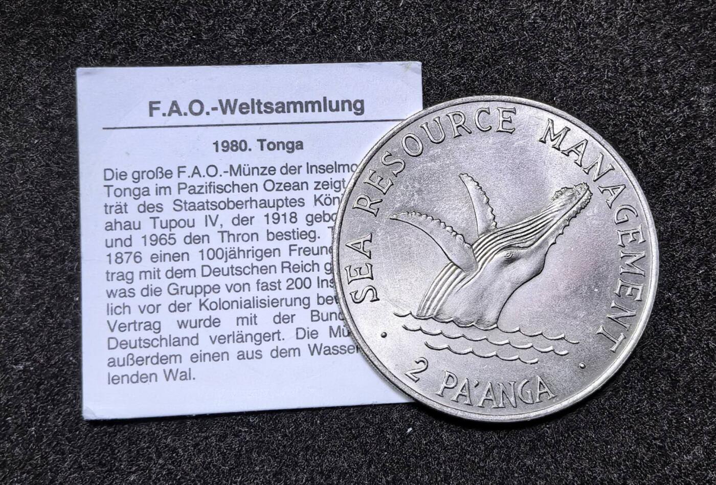 北京马甸外国币专卖第140期，外国币专场，陆续上拍，欢迎关注 1980年汤加国王座头豚2潘加FAO大镍币