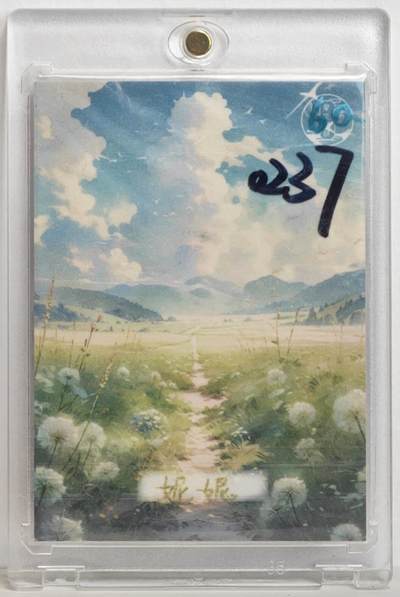 白泽拍卖卡牌手绘专场第18期（端午临中夏，时清日复长） 2025 星空文创手绘卡 熊猫妹 妮妮亲签 卡砖封装