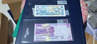 各种纸币、硬币拍场 外币两张，，护币袋有国家简介，扫二维码可显示更详细的国家介绍