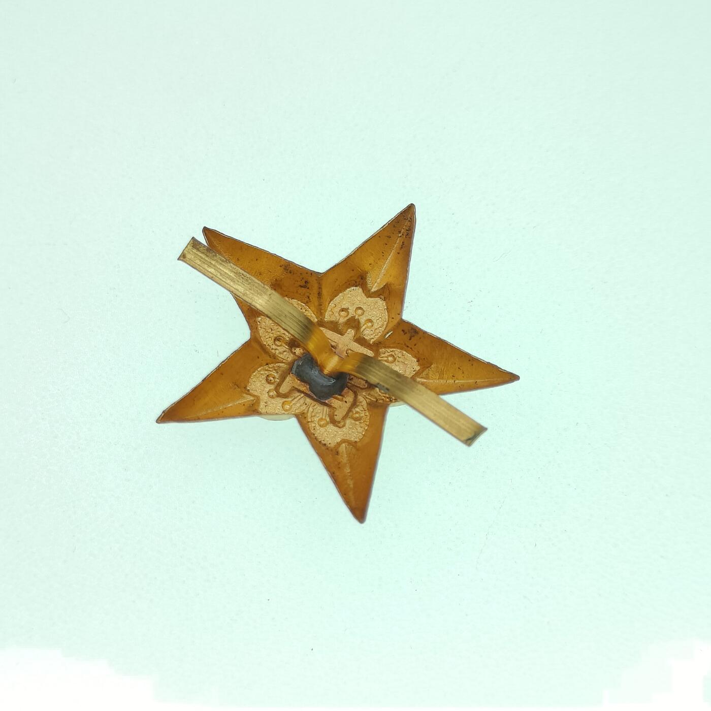 0元起拍勋章 第265期 咸鱼国勋章拍卖专场 6月4日（周三）下午6：00开始 日本战时青年学校帽徽