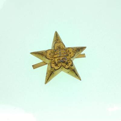 0元起拍勋章 第265期 咸鱼国勋章拍卖专场 6月4日（周三）下午6：00开始 - 日本战时青年学校帽徽