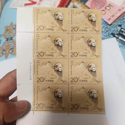 泡泡币外币第四十四场可代拍15038385335微信 - 骆驼一大张