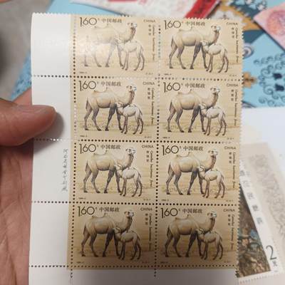 泡泡币外币第四十四场可代拍15038385335微信 - 骆驼一大张