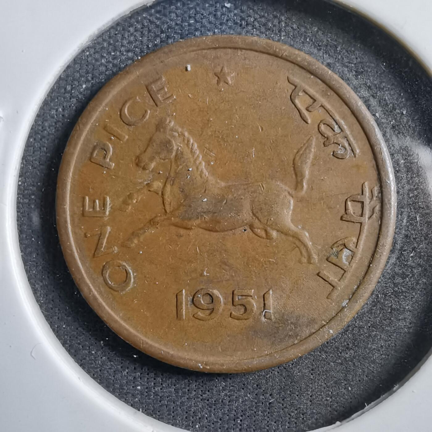 沼泽如烟--第738场