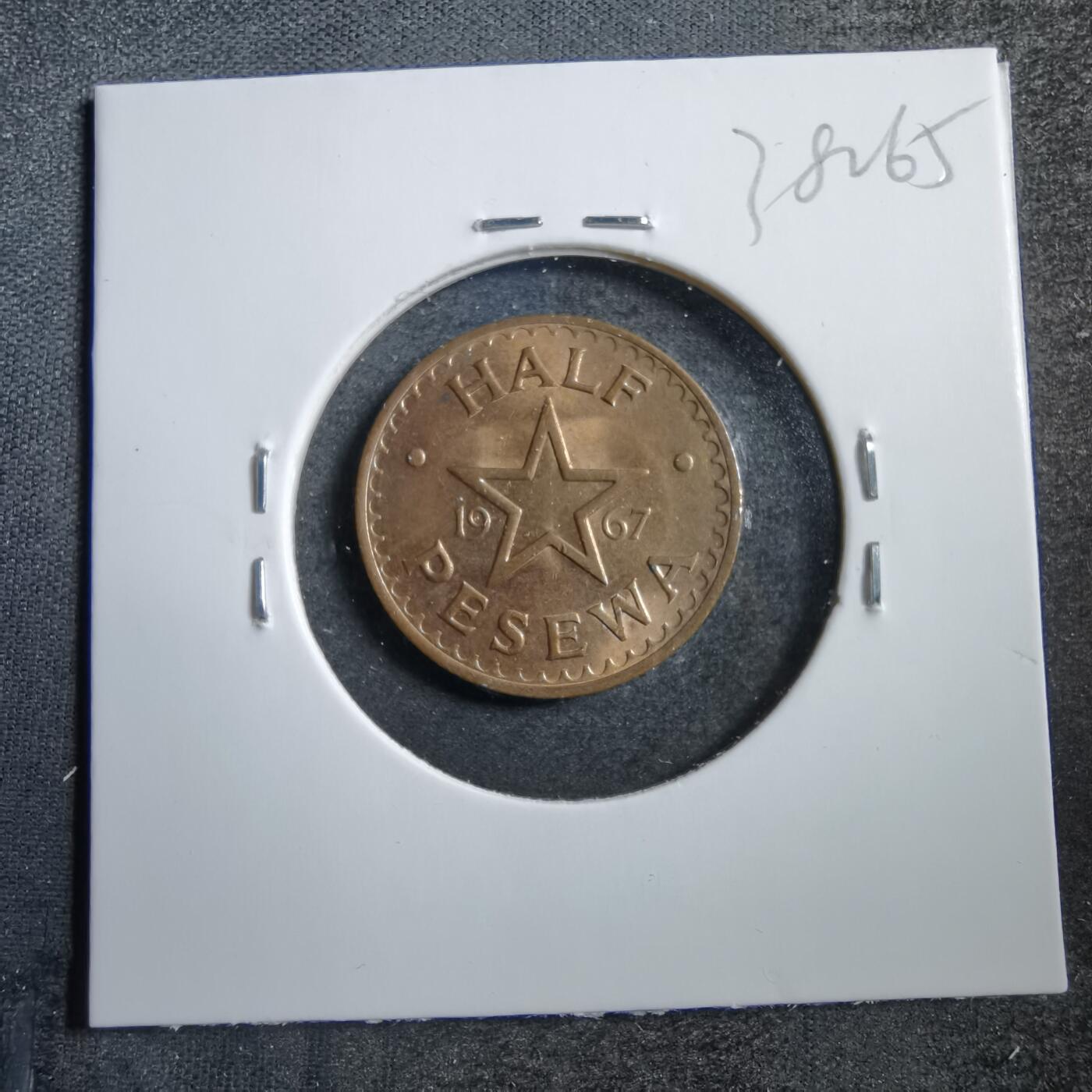 沼泽如烟--第738场