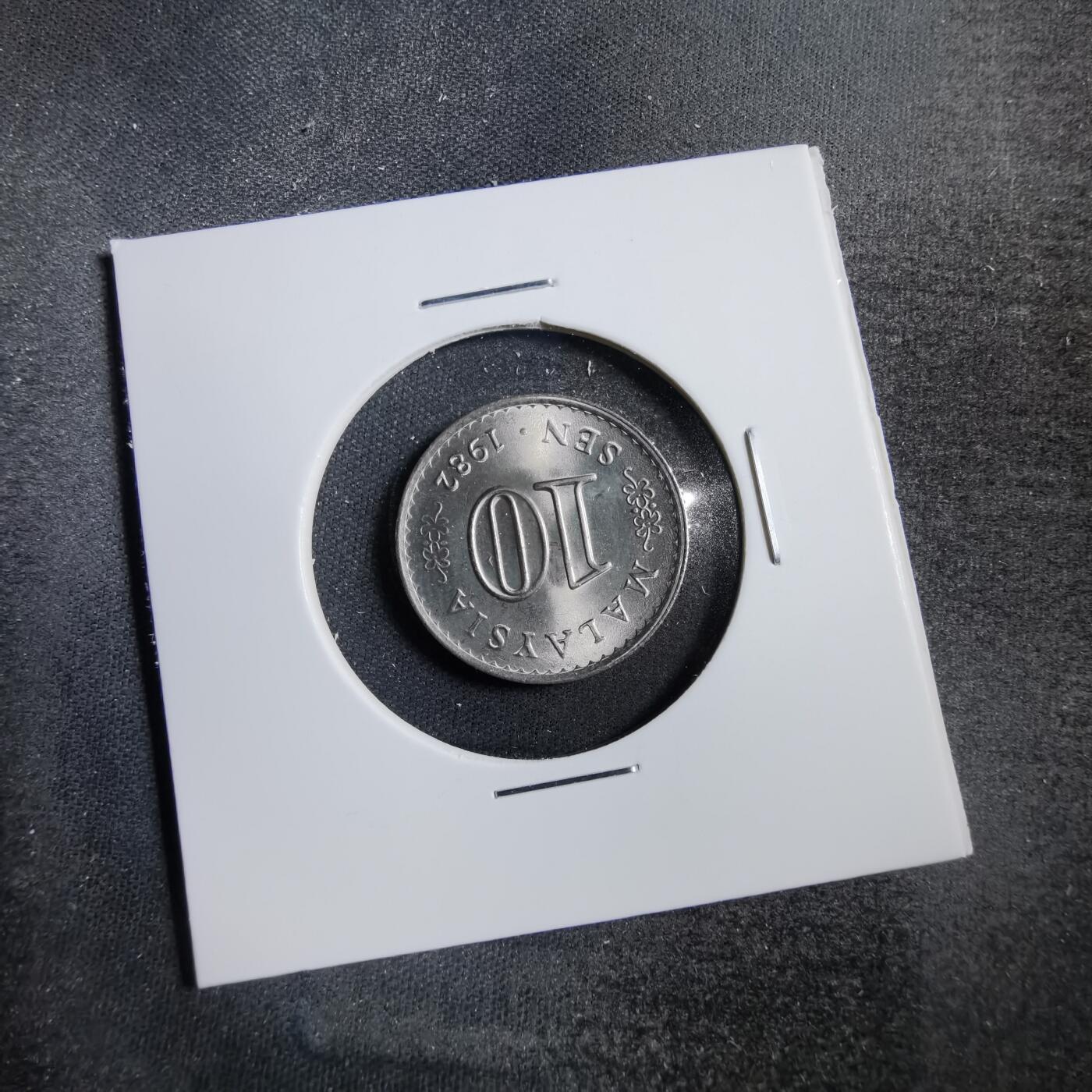 沼泽如烟--第738场