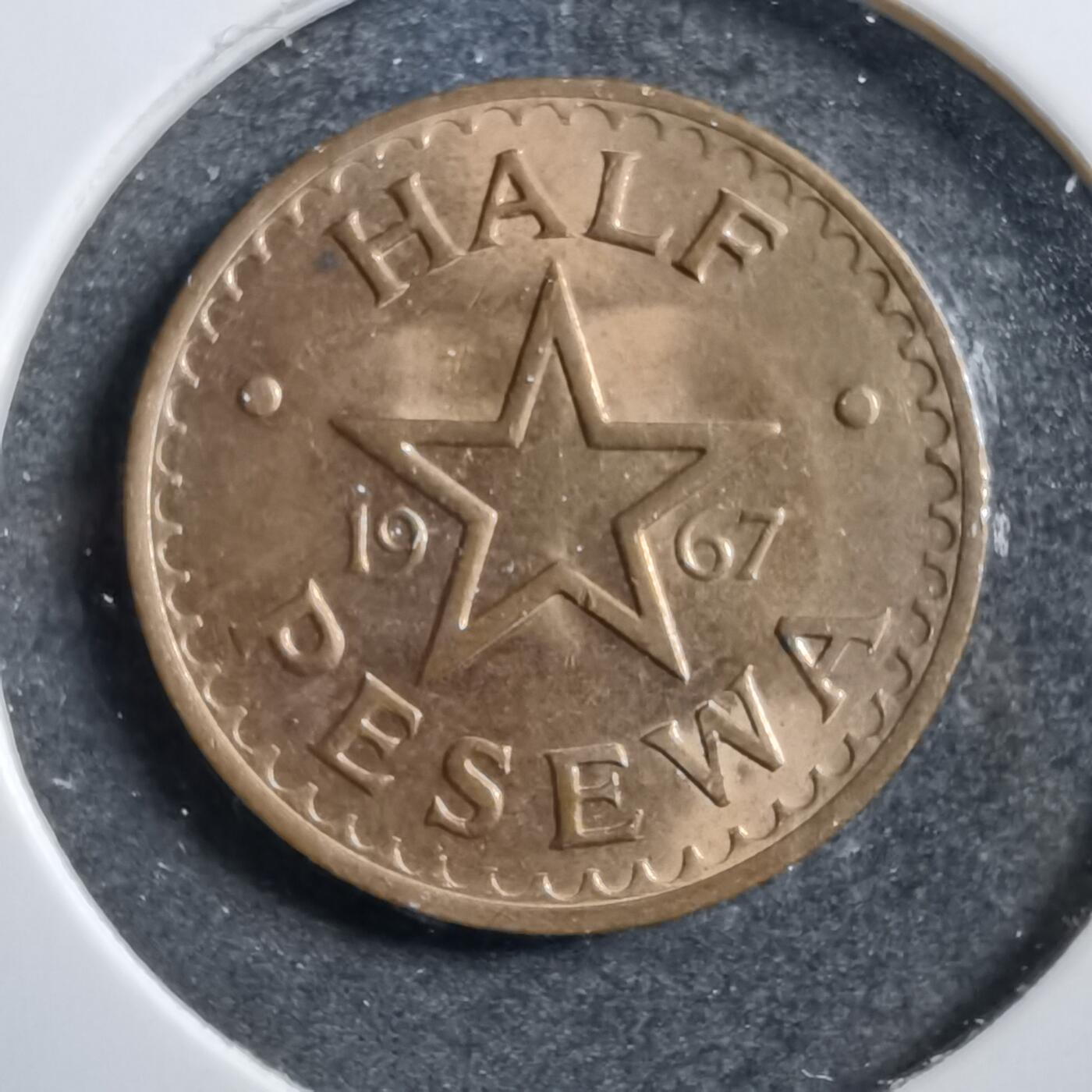 沼泽如烟--第738场