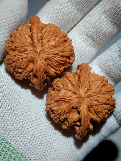 ❤️老树山地果全品磨盘核桃(39035)尺寸边45*44肚42*42高34*34mm重量41g - ❤️老树山地果全品磨盘核桃(39035)尺寸边45*44肚42*42高34*34mm重量41g