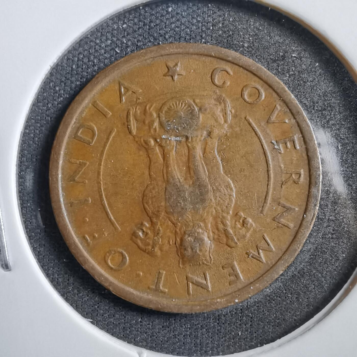 沼泽如烟--第738场