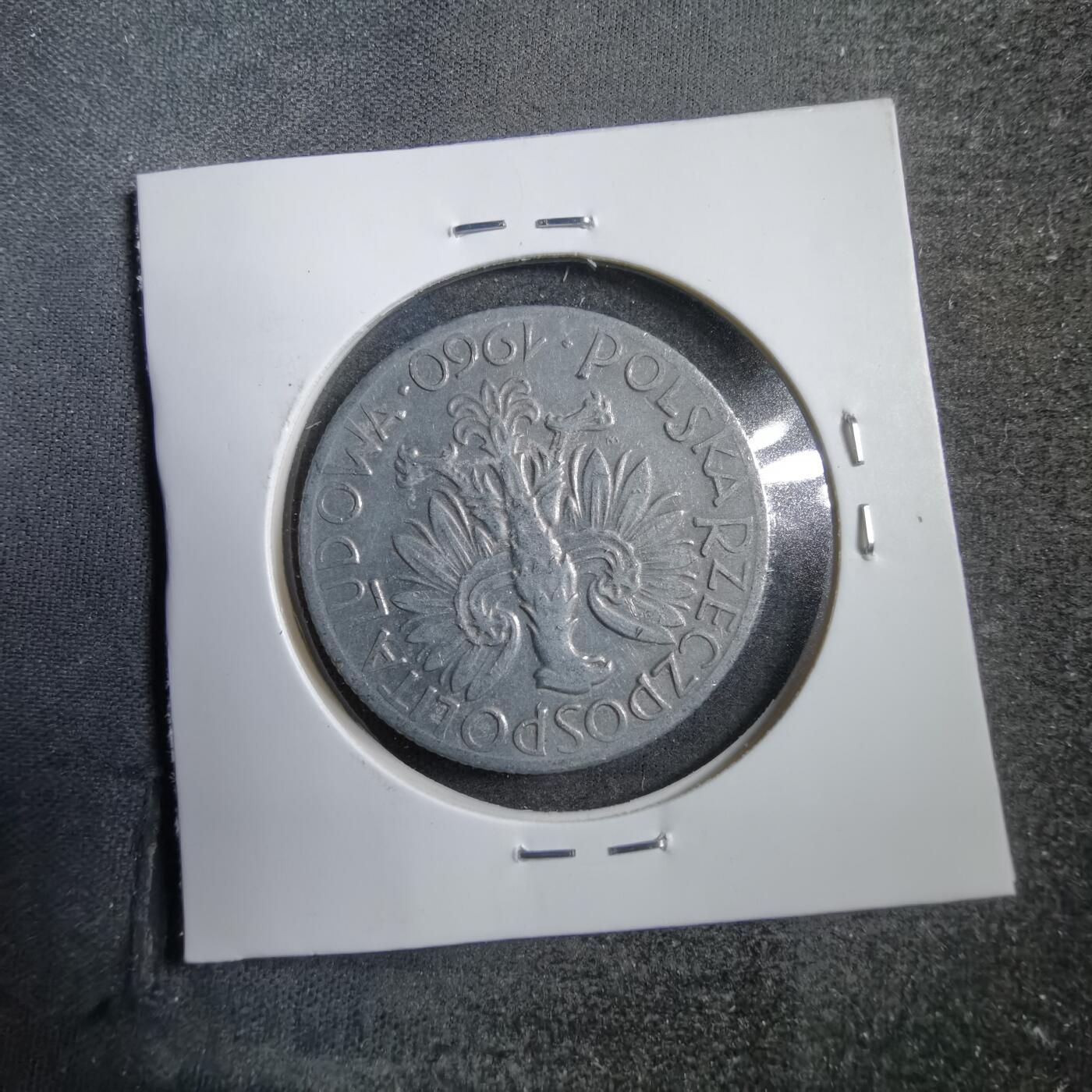 沼泽如烟--第738场