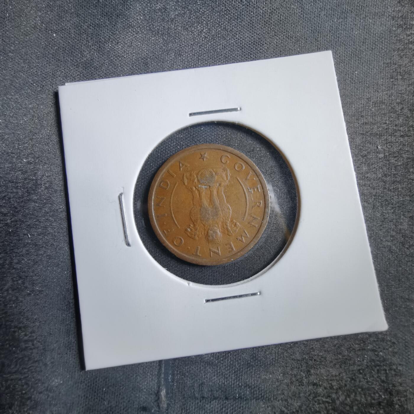 沼泽如烟--第738场