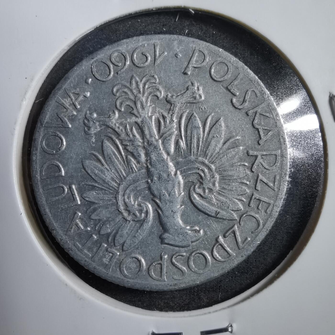 沼泽如烟--第738场