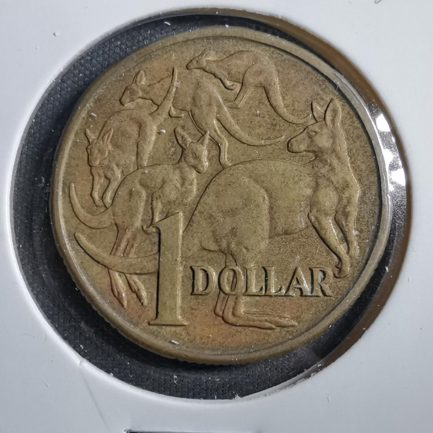 沼泽如烟--第738场