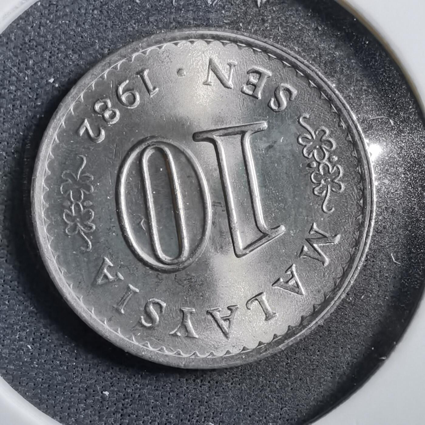 沼泽如烟--第738场