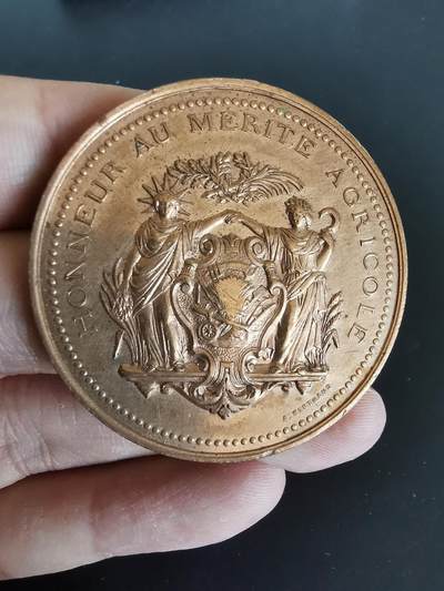 老王徽章第125期 - 法国农业协会大铜章   直径47mm   重量43.5g