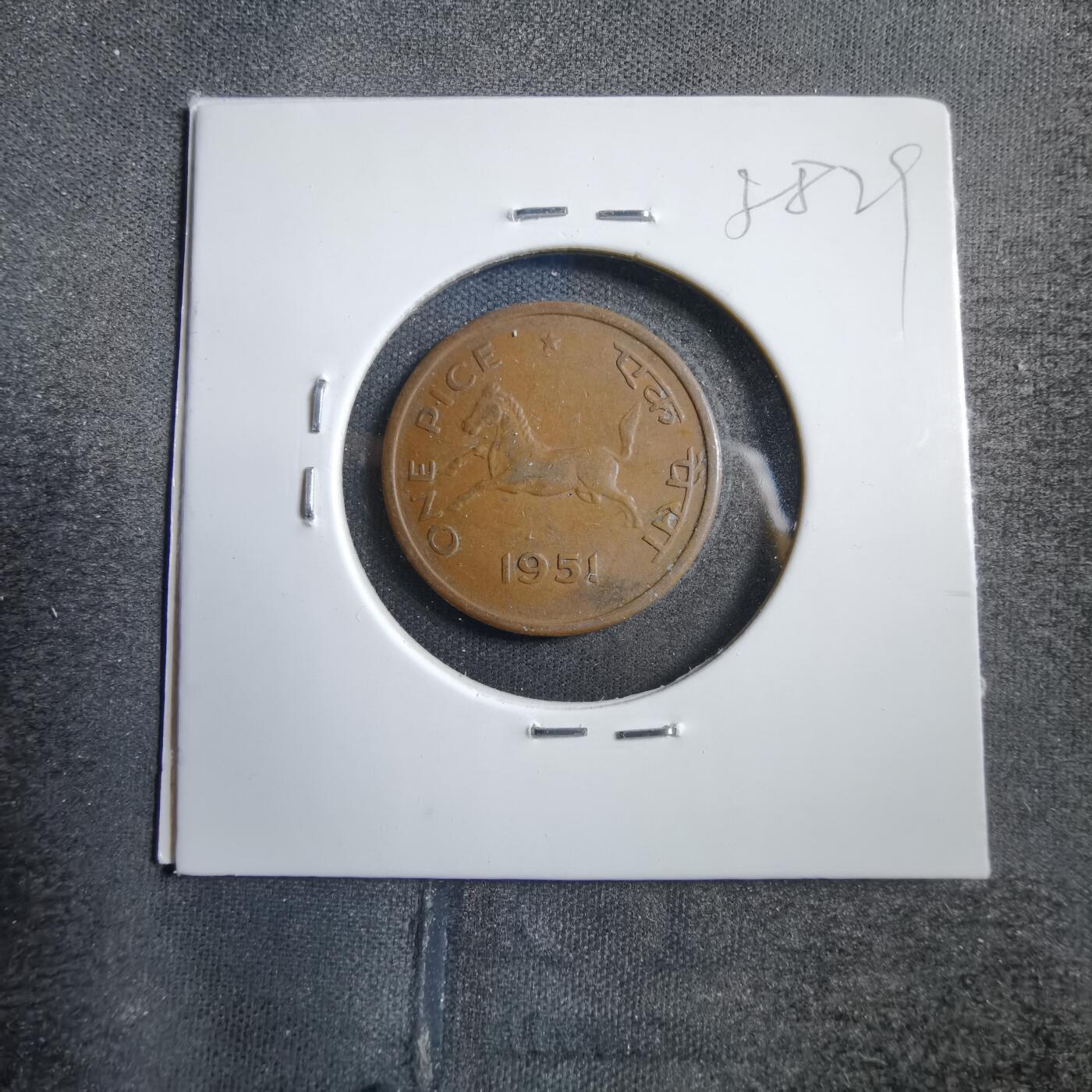 沼泽如烟--第738场