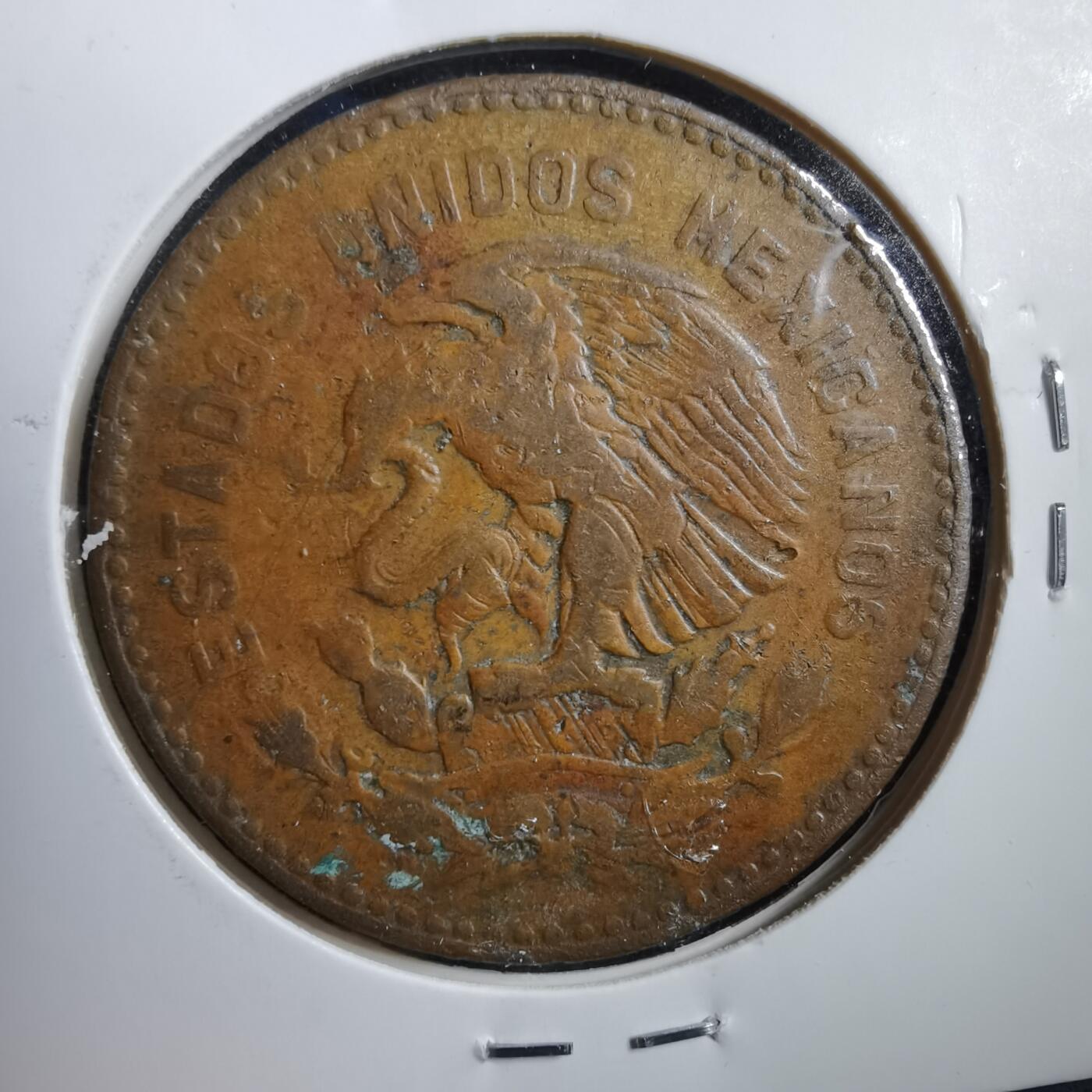 沼泽如烟--第738场