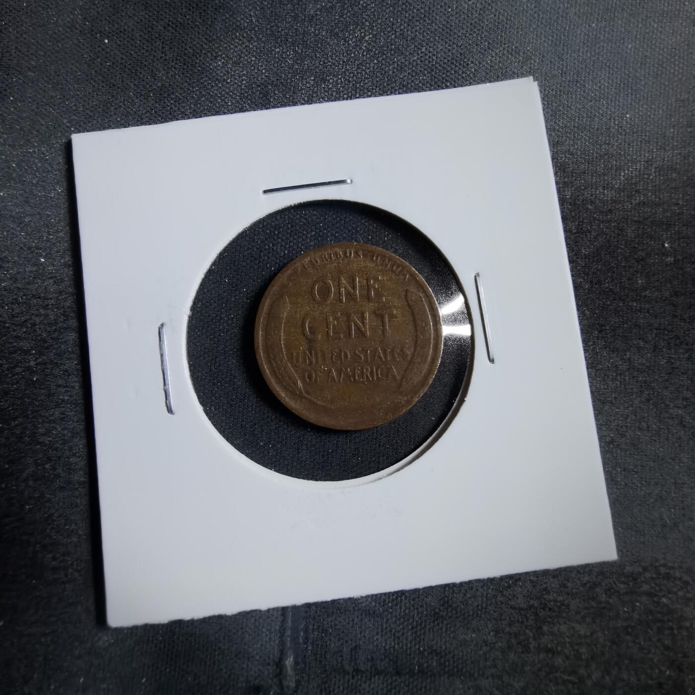 沼泽如烟--第738场