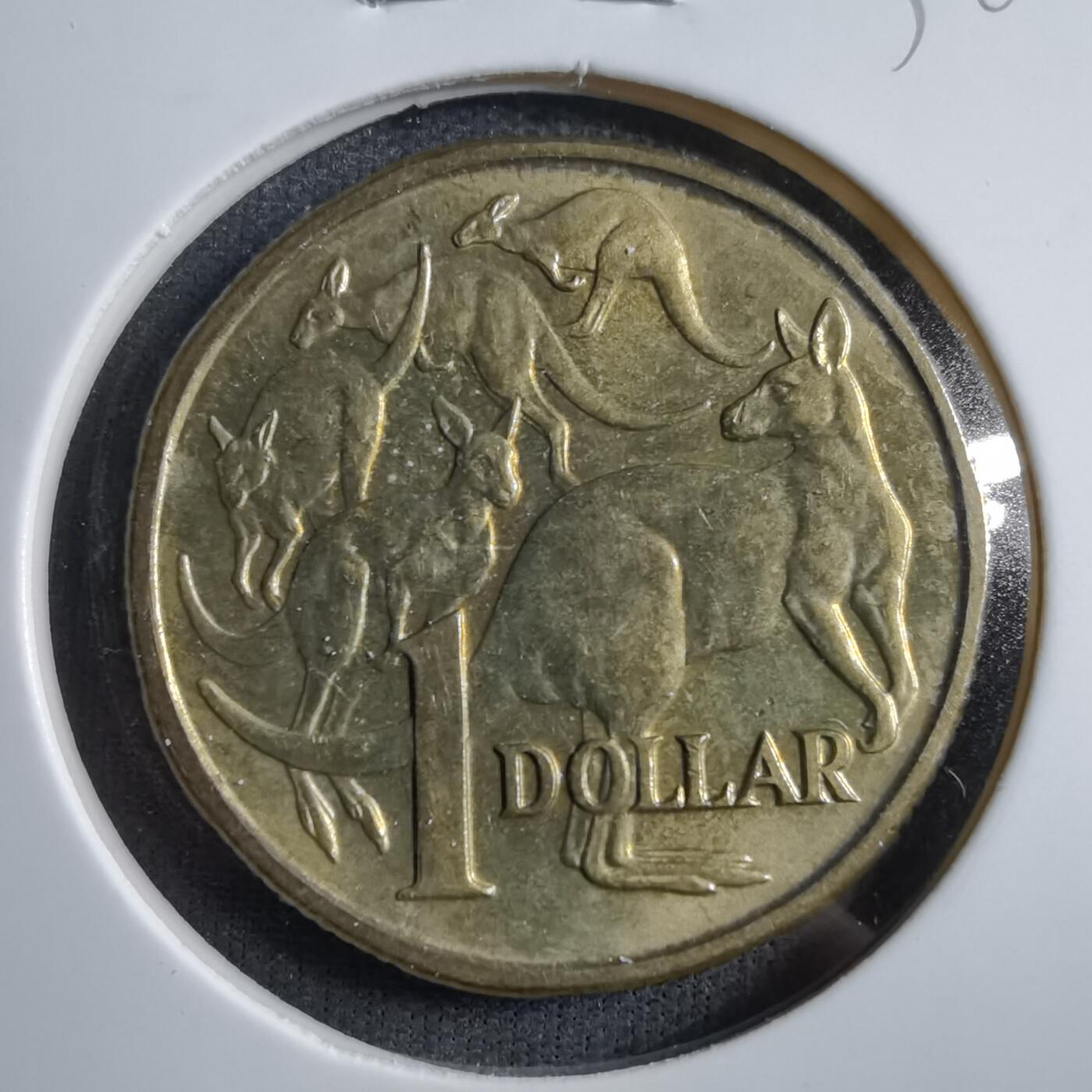 沼泽如烟--第738场