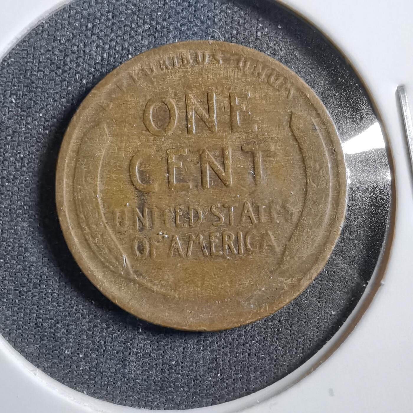 沼泽如烟--第738场