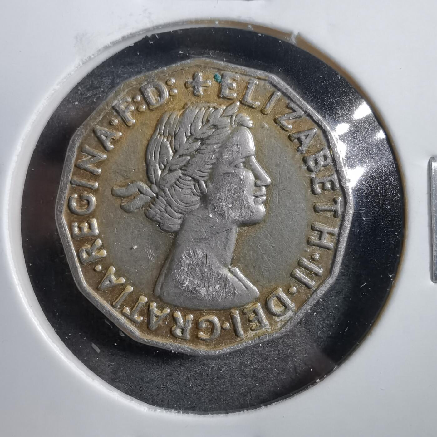 沼泽如烟--第738场