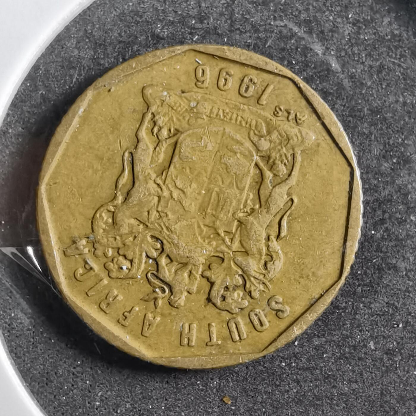 沼泽如烟--第738场