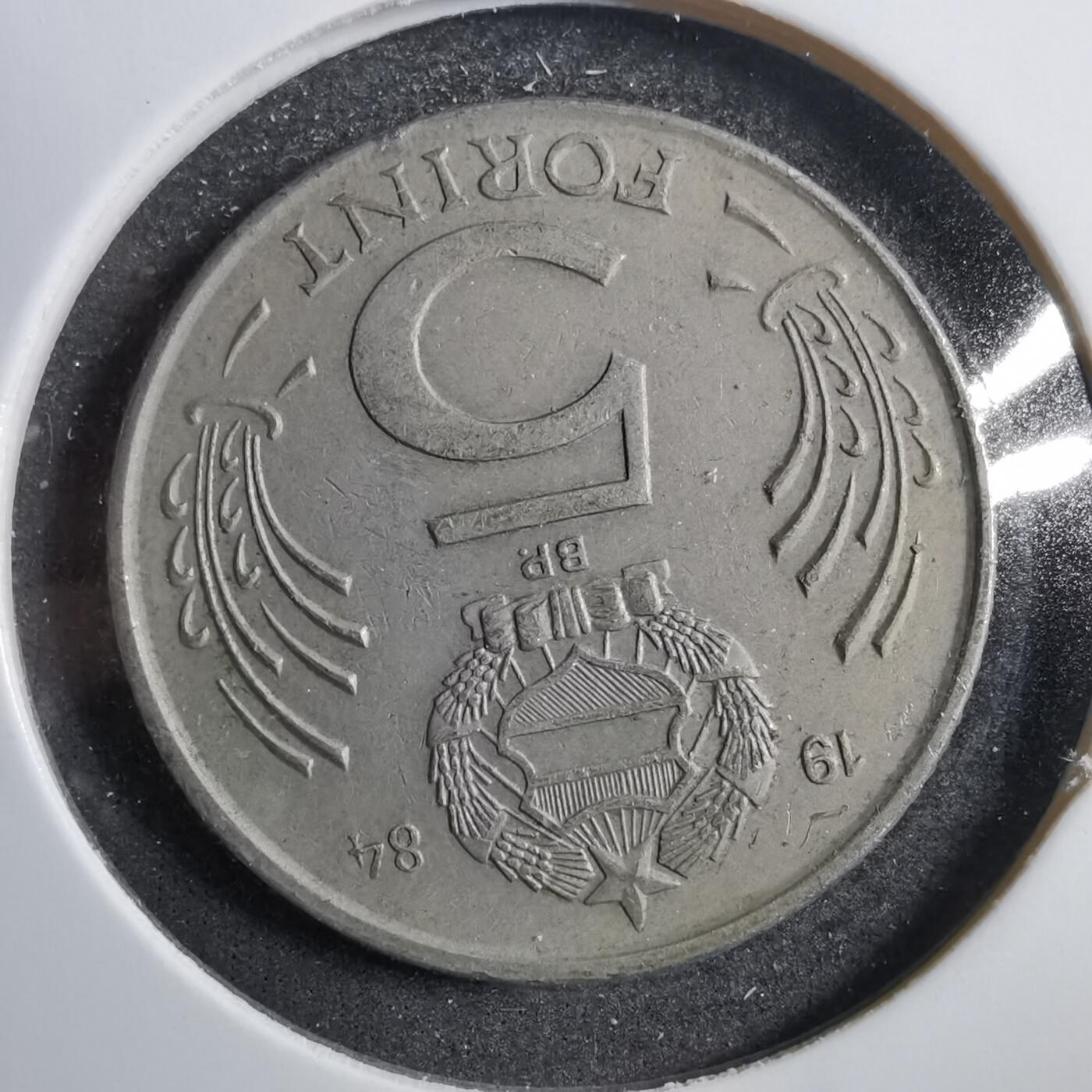 沼泽如烟--第738场