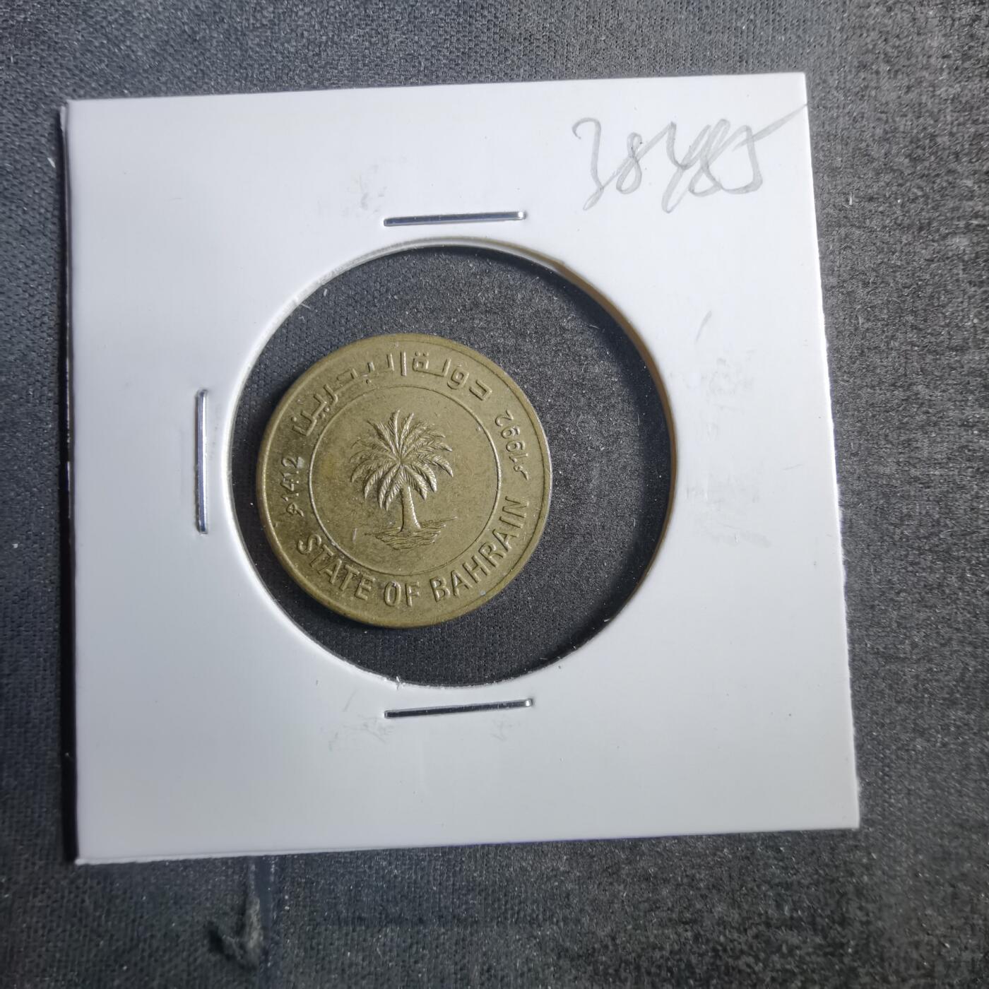 沼泽如烟--第738场