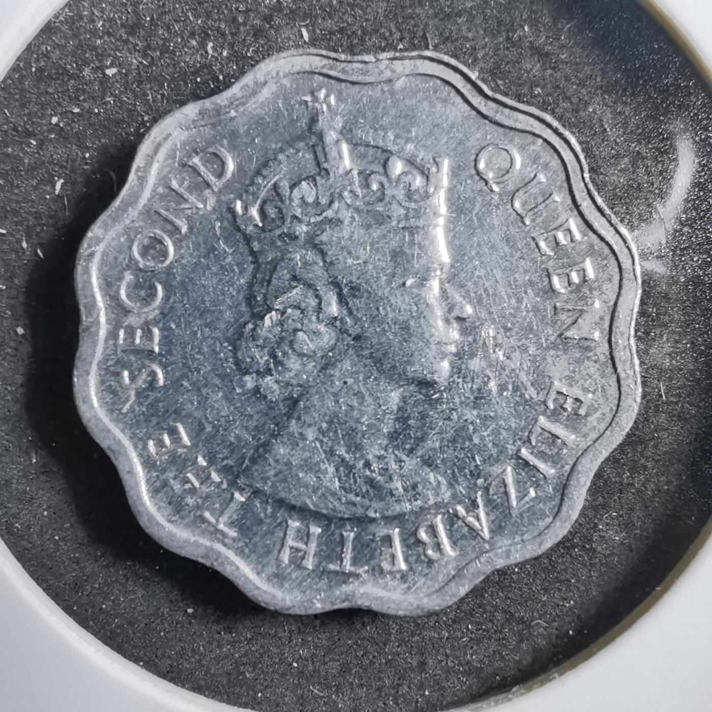 沼泽如烟--第738场