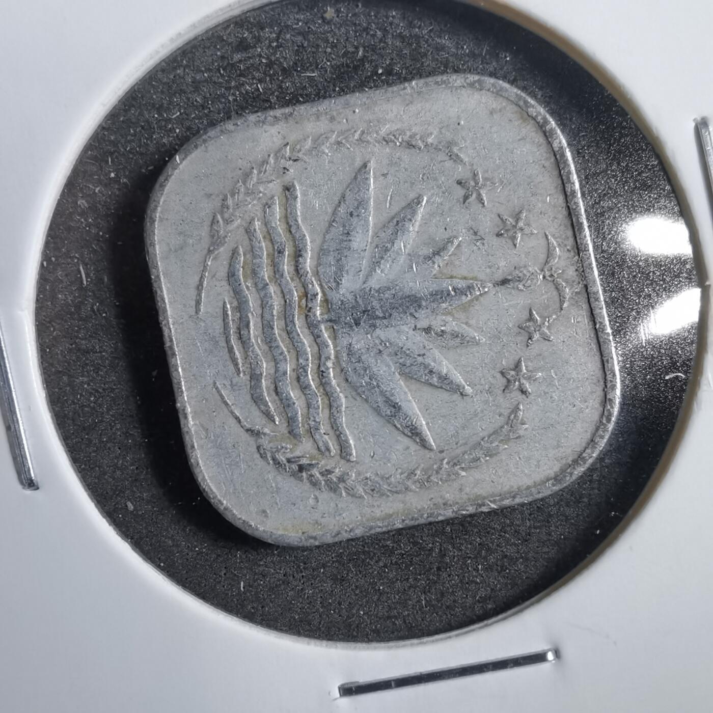 沼泽如烟--第738场