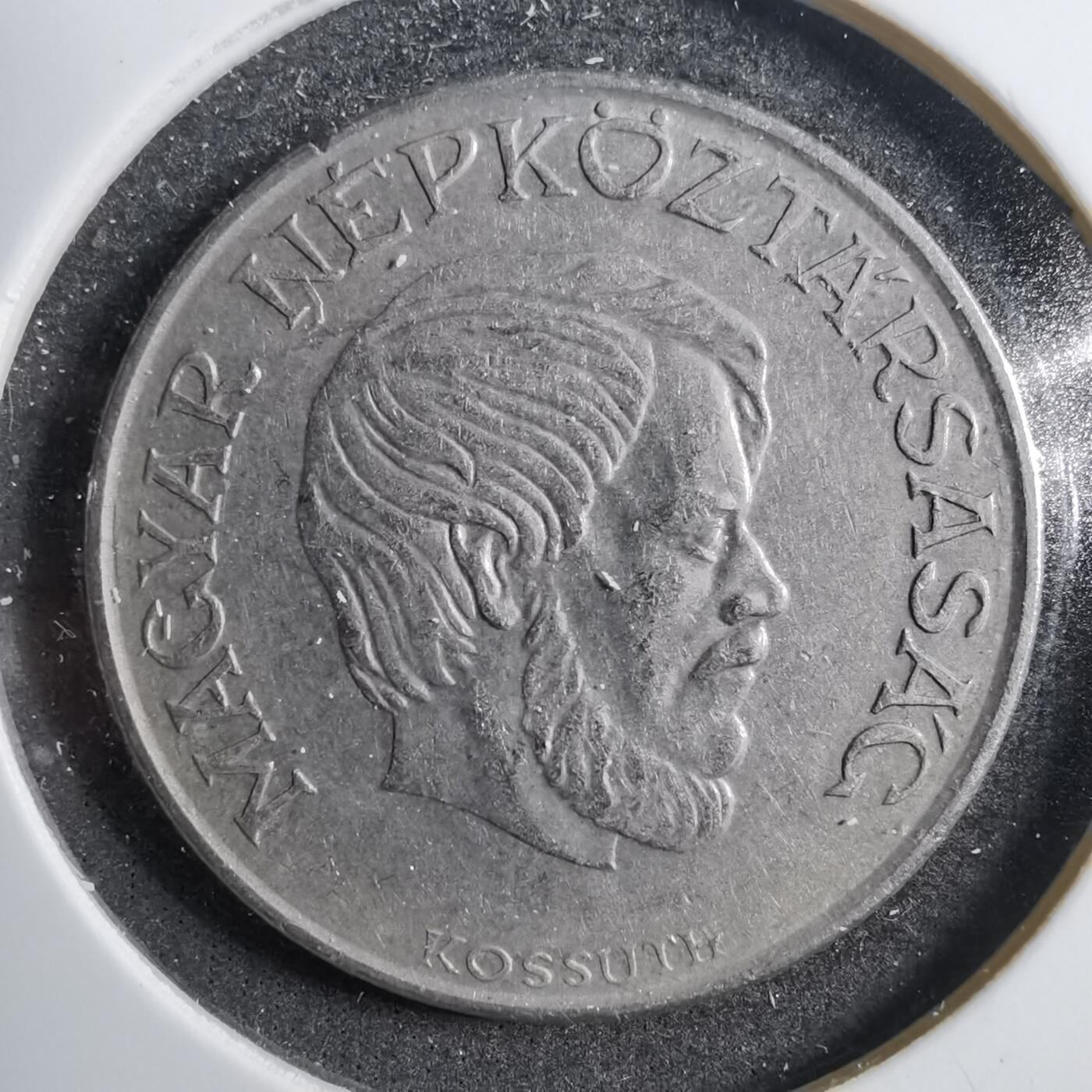 沼泽如烟--第738场