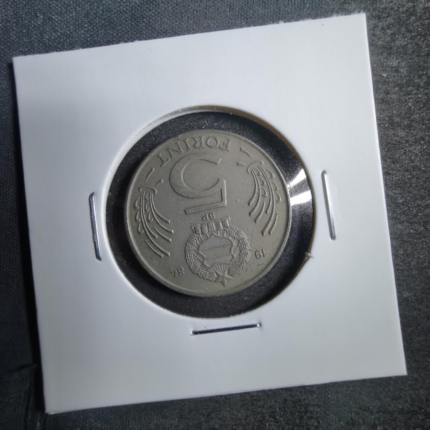 沼泽如烟--第738场