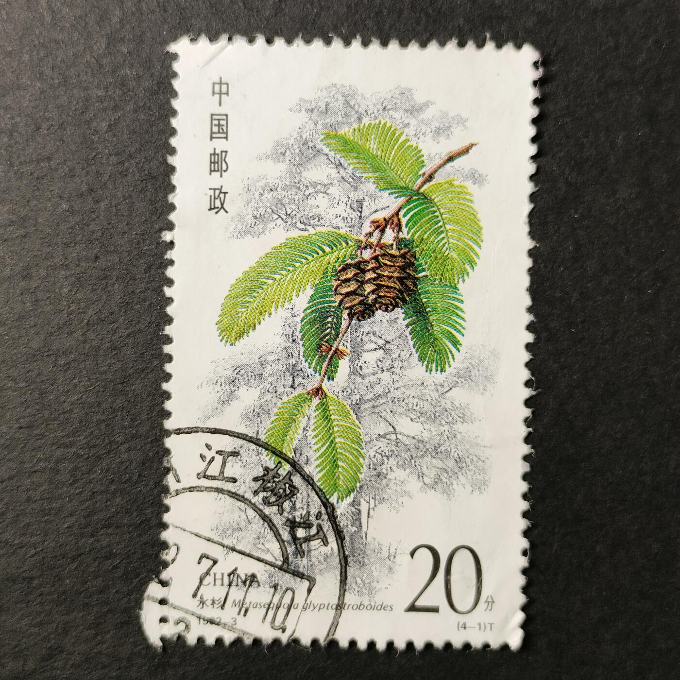 嘉禾收藏    【第218期】            无佣金、可寄存、满30元包邮