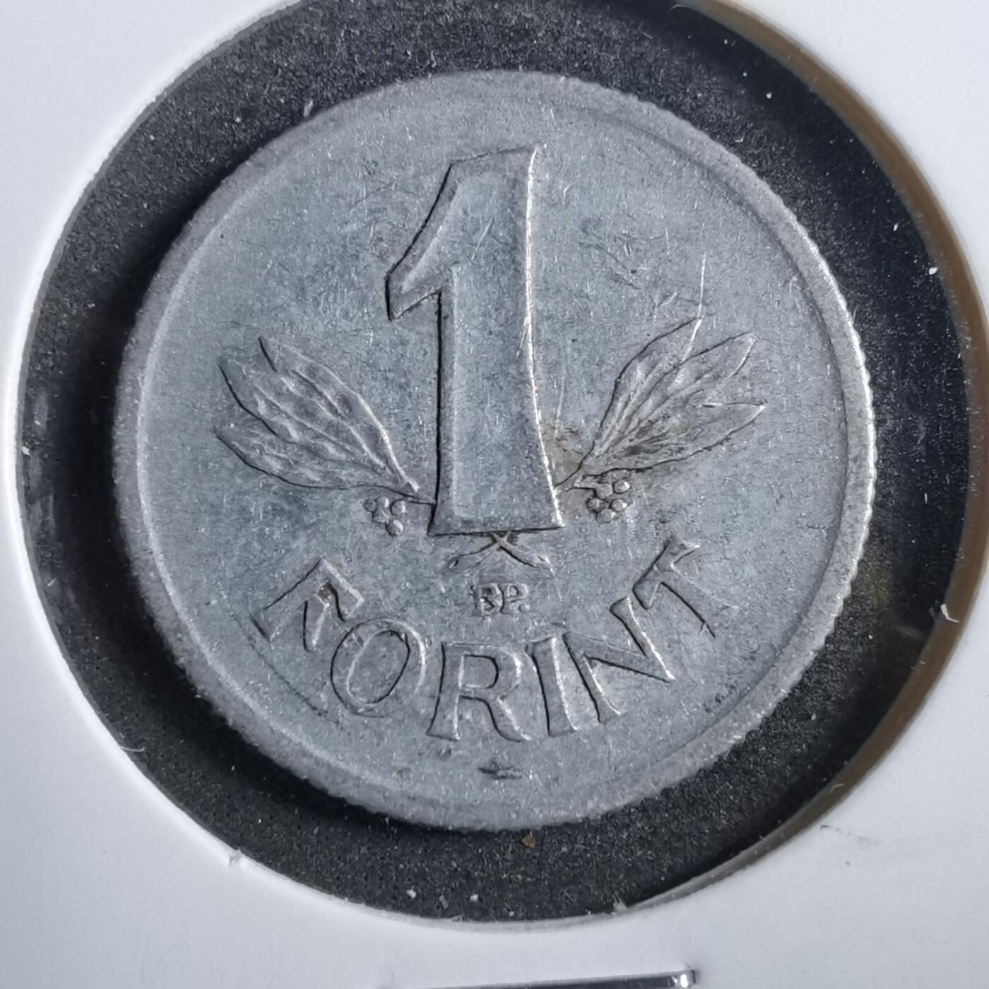 沼泽如烟--第738场