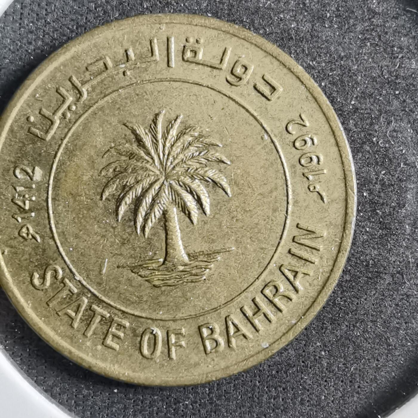 沼泽如烟--第738场