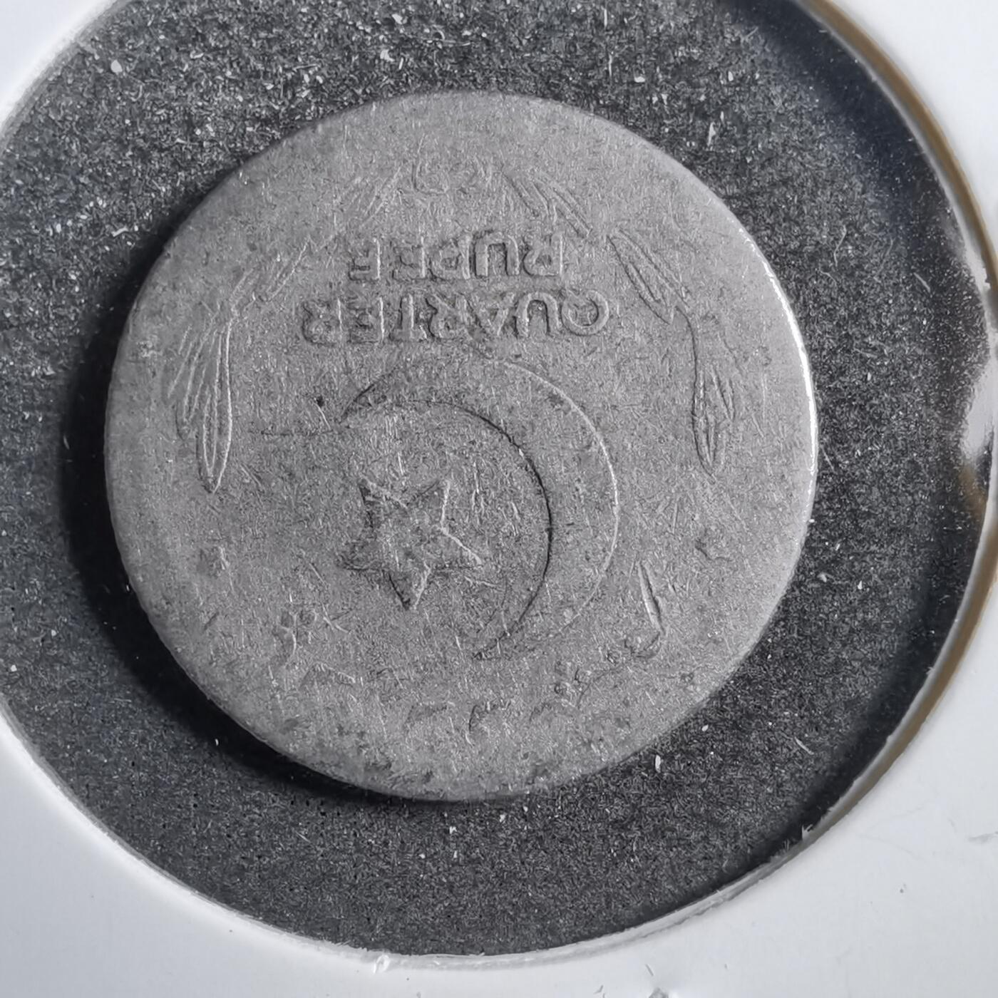 沼泽如烟--第738场