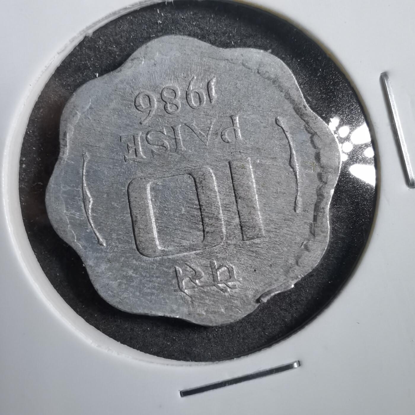 沼泽如烟--第738场