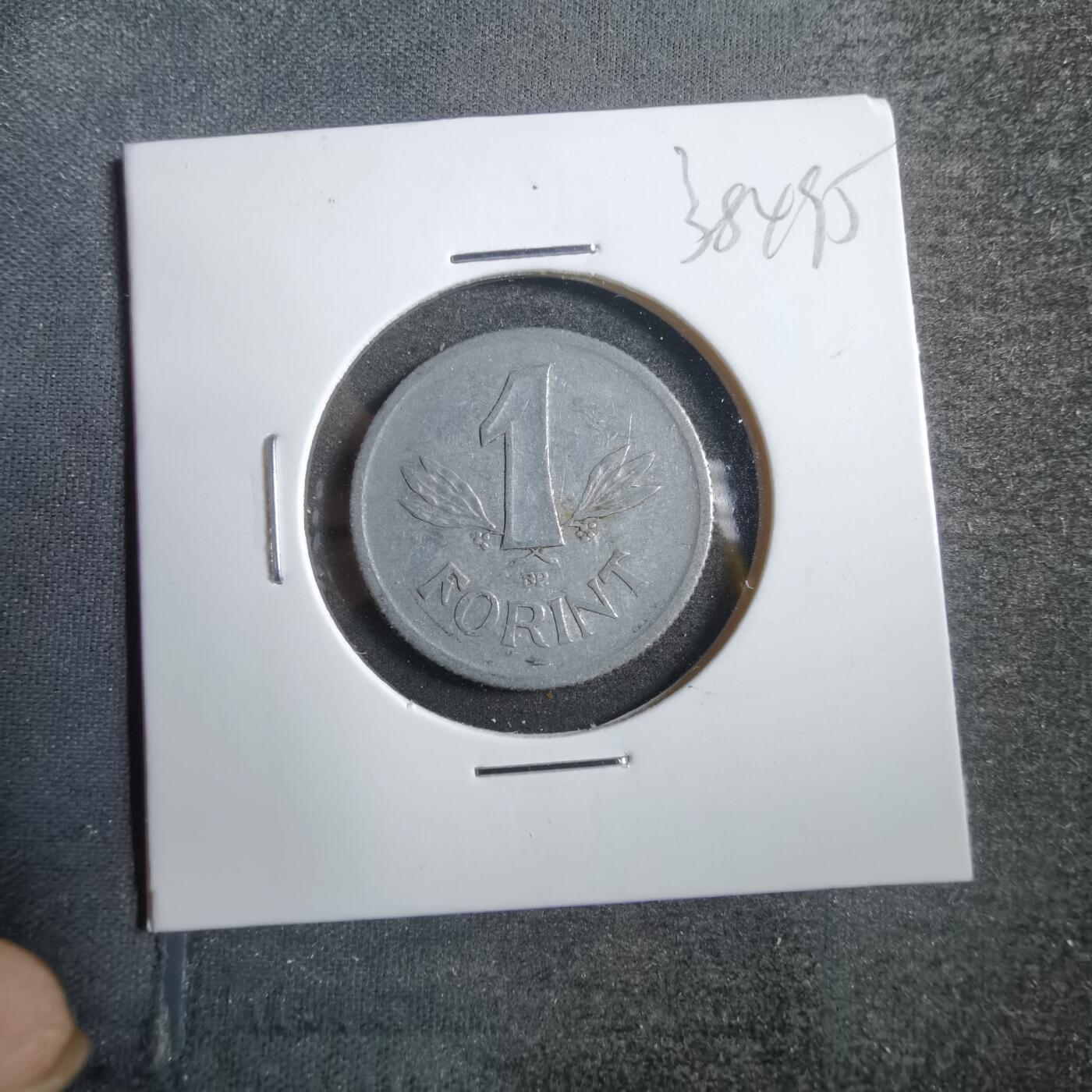 沼泽如烟--第738场