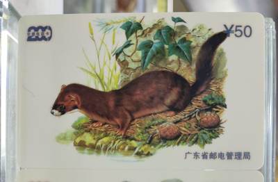 搬档清货，卡类收藏A 广东省邮电管理局200卡，97 P8，野生动物，3枚一套全