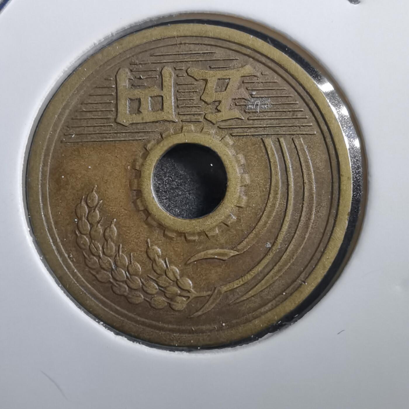 沼泽如烟--第739场