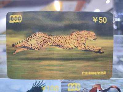 搬档清货，卡类收藏A 广东省邮电管理局200卡，97 P4，动物，3枚一套全
